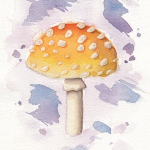 Young fly agaric mushroom nature original artwork | Natural watercolour botanical illustrated print | Gift for mushroom lovers (unframed)