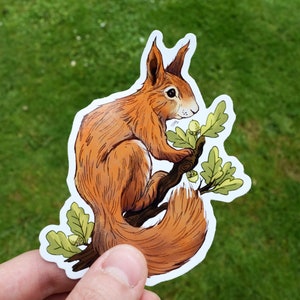 Sticker vinyle écureuil roux