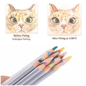 Pode incluir: Um conjunto de lápis de cor com corpo prateado e pontas expostas em tons de verde, amarelo, azul, cinza, castanho, rosa e amarelo claro, exibidos ao lado de dois azulejos quadrados com uma ilustração de gato antes e após cozedura a 1240°C.