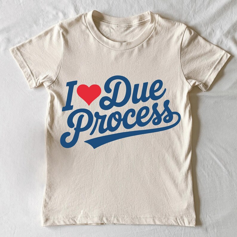 a t - shirt that says i love due process