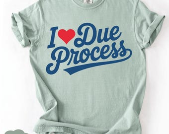 I Love Due Process T-Shirt: Funny Constitutional Law Graphic Tee
