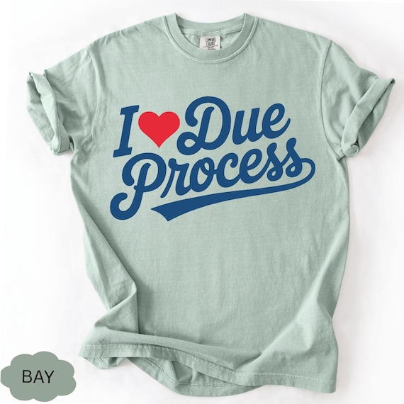 I Love Due Process T-Shirt: Funny Constitutional Law Graphic Tee