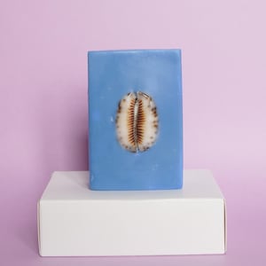 May include: A rectangular, pale blue soap bar featuring a seashell in the centre. The seashell is beige and brown with a textured surface. The soap is displayed on a white box against a lilac background.