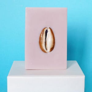 May include: A light pink rectangular object with a brown and white seashell embedded in the centre. The object is displayed on a white rectangular block against a light blue background. The seashell has a detailed, textured surface.
