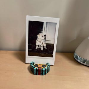 May include: A white rectangular instant film photograph featuring a small white dog sitting on a dark mat, held upright by a small, hand-painted ceramic stand with vertical teal and black stripes and a central orange circular accent.