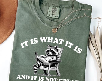 Comfort Colors® It Is What It Is And It Is Not Great Sweatshirt, Mental Health Sweatshirt, Funny Sweatshirt Women, Meme Sweatshirt, Raccoon