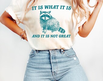 It Is What It Is And It Is Not Great Sweatshirt,Mental Health Sweatshirt, Funny Sweatshirt Women,Funny Trash Panda Shirt, Racoon Lover Shirt