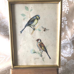 Vintage French Hand Painted Framed Watercolor Birds D GARRAUD 8.75&quot; x 6.5&quot;