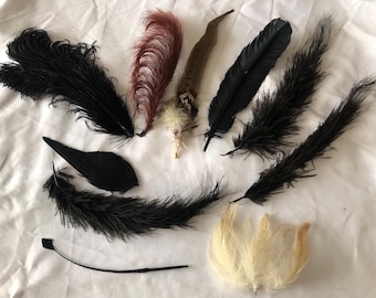 Job Lot 10 Antique French Victorian Ostrich Threaded Feathers Millinery Plumes