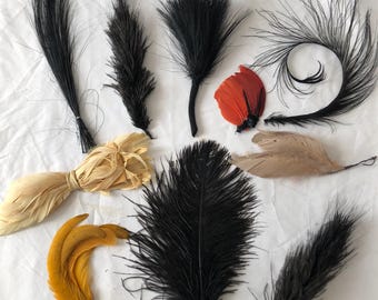 Job Lot 10 Antique French Victorian Ostrich Feathers Millinery Plumes