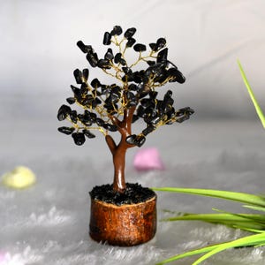 black natural stone tree