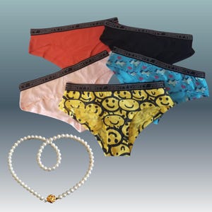 Cotton Panties Underwear Comfortable Lingerie For Everyday Wear  5 Pack Stylish Womens Underwear  Package of 5 Panties