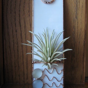 Stained Glass Air Plant Holder, Wall Planter, Indoor Planter, Gift for Gardener, Glass Airplant Holder, Home Decor, Hanging Plant Holder