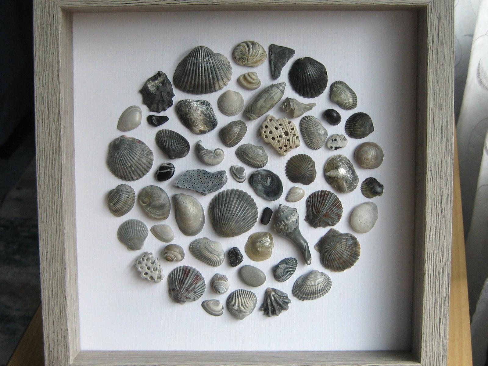 Framed Seashell Art, Coastal Home Decor - Etsy