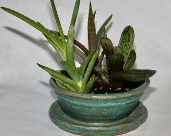 Miniature Turquoise (cerulean) Stoneware  Planter for Succulents, herbs or small houseplants with Built in drainage Handthrown