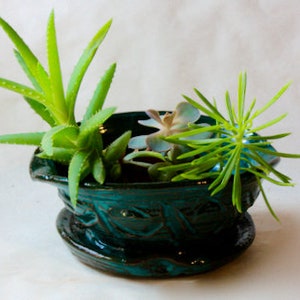 May include: A teal ceramic planter with a decorative design features three different types of succulents. The succulents are green and have a variety of textures.