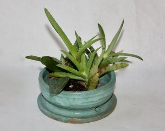 Miniature Turquoise (cerulean) Stoneware  Planter for Succulents, herbs or small houseplants with Built in drainage Handthrown