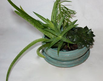 Turquoise (cerulean blue) Stoneware  OOAK Planter for Succulents, herbs or small houseplants with Built in drainage Handthrown