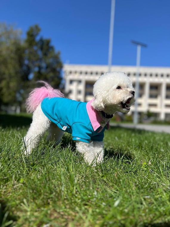 Dog Polo Shirt – Stylish Cotton Pet T-shirt With Button Closure