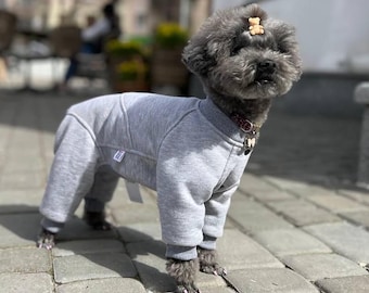 May include: A small gray dog wearing a gray fleece jumpsuit. The dog has a black nose and black eyes. The dog is standing on a gray brick surface.