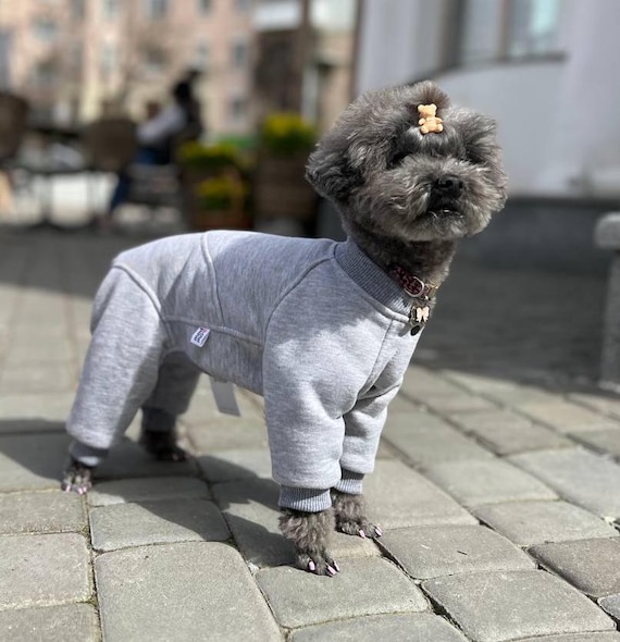 Knitted Dog Jumpsuit 