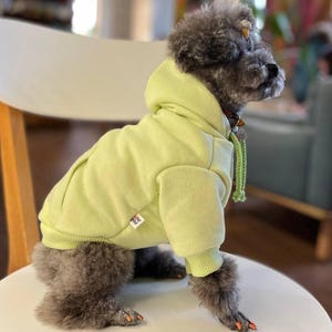 Cozy Peach-Effect Dog Spring Hoodie for Small and Medium Dogs Green