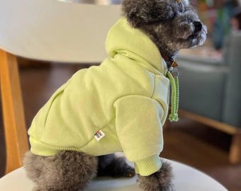 May include: A small gray dog wearing a light green hooded sweatshirt. The sweatshirt has a small red tag on the sleeve.