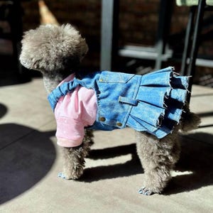 Op de afbeelding: Een grijze hond draagt een roze en blauwe spijkergoed outfit. De roze top heeft witte stippen en de blauwe spijkergoed rok heeft plooien en gouden knopen. De hond staat in het zonlicht op een lichtgekleurd oppervlak.