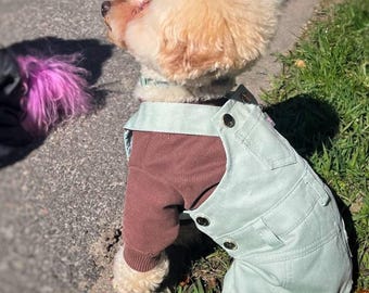 Cotton Dog Pants – Adjustable Overalls for Dogs  Turquoise
