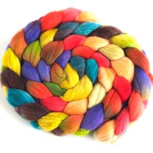 Rambouillet Wool Hand Spinner&#39;s Roving - Hand Painted Colorway, Bossy