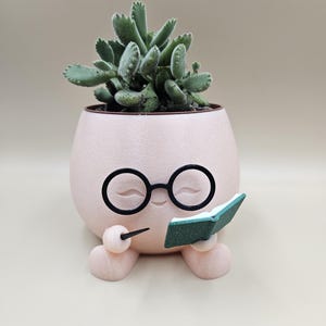 Può includere: Un vaso rotondo rosa chiaro con un design a forma di viso, occhiali neri e un piccolo libro verde. Il vaso contiene una pianta succulenta verde. Un oggetto di arredamento per la casa unico e stravagante.