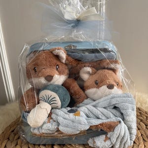 Könnte beinhalten: Ein Baby-Geschenkkorb, verpackt in durchsichtigem Cellophan und mit einer blauen Schleife gebunden. Der Korb enthält zwei Plüschfuchs-Spielzeuge, eine blaue Decke und ein pilzförmiges Spielzeug.