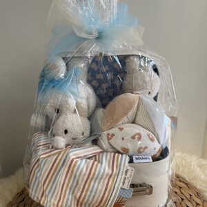 Könnte beinhalten: Ein Babygeschenkkorb, verpackt in durchsichtigem Zellophan und mit einer hellblauen Schleife gebunden. Der Korb enthält ein Plüschkaninchen, eine gestreifte Decke, einen bedruckten Strampler und einen weichen Ball mit Tiermuster.