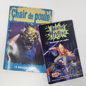 Peut inclure: Deux livres de poche français vintage. L'un porte le titre "Chair de poule" en lettres jaunes sur fond bleu, avec un monstre sur la couverture. L'autre livre est intitulé "Martin Mystère Vacances en enfer" avec des illustrations de dessins animés.