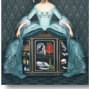 Curiosity Cabinet Dress Portrait Blue Gray Art Print Surreal Skull Shell Coral Bat Natural History