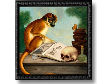 The Scholar Monkey Still Life Print Art Surreal Natural History Curiosity Cabinet