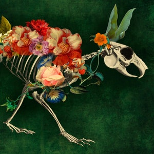 Rabbit Bunny Skeleton Anatomy Floral Flowers Curiosity Cabinet Print Art Surreal  Home Decor Memento Mori Hare