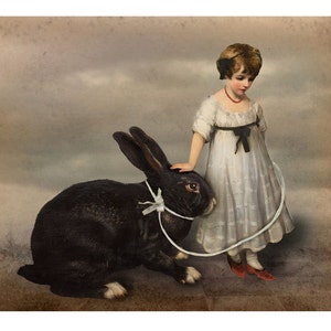 Rabbit Print Art Black Gray Surreal Home Decor Bunny Hare Pet