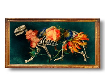 Cat Skeleton Anatomy Floral Flowers Curiosity Cabinet Print Digital Art Surreal  Home Decor Memento Mori