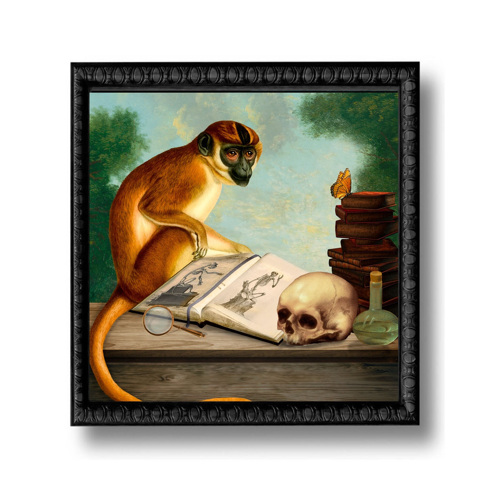 The Scholar Monkey Still Life Print Art Surreal Natural History Curiosity Cabinet