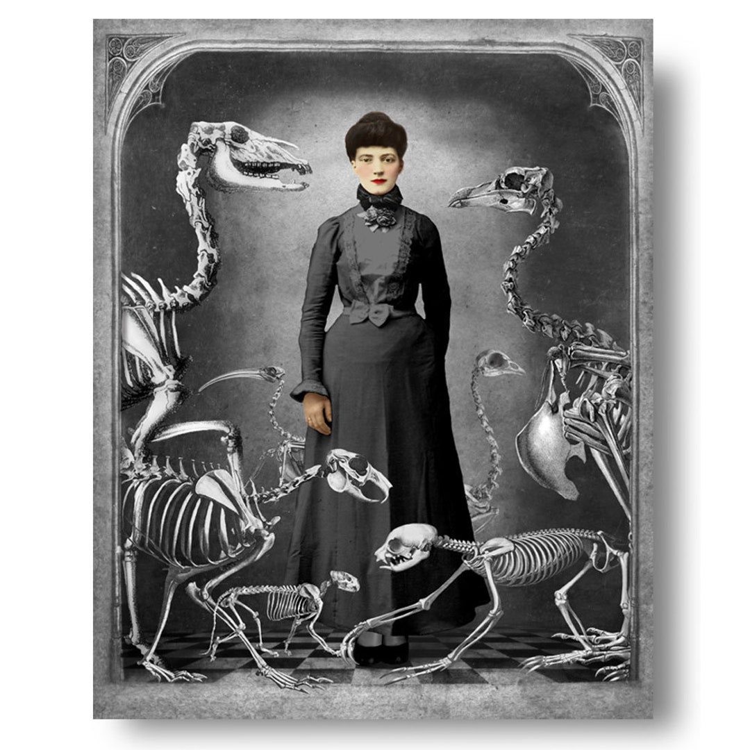 The Naturalist Skeleton Curiosity Cabinet Print Art Surreal Portrait ...