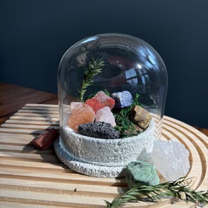 May include: A glass dome terrarium with a variety of colorful crystals and a small green plant inside. The terrarium is sitting on a wooden surface with other crystals around it.