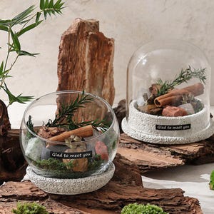 May include: Two decorative glass terrariums with natural elements. One is a dome, the other is open. Both contain cinnamon sticks, rocks, and greenery. The text "Glad to meet you" is on a label on each base.