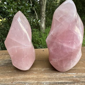 May include: Two large, pink rose quartz crystals, one taller than the other, are displayed on a wooden surface. The crystals have a smooth, polished finish and are naturally shaped.