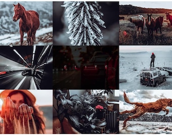 Elite Lightroom Presets, Photo Editing Bundle