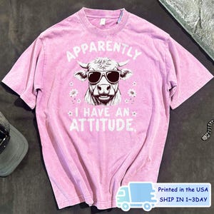 Apparently I Have an Attitude Washed T Shirt,Snarky Western Cow Sarcastic  T-Shirt, Funny Western  Tee Shirt, Cowgirl Tee,Cute Cow Shirt