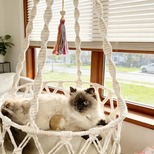 以下が含まれることがあります： 窓の前に吊るされたクリーム色のマクラメ猫用ベッド。暗い模様のあるふわふわの明るい色の猫がベッドの中にいます。カラフルなタッセルと木のハートが上からぶら下がっています。ベッドは織りロープでできています。
