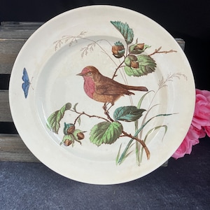 Mortlock - Etsy