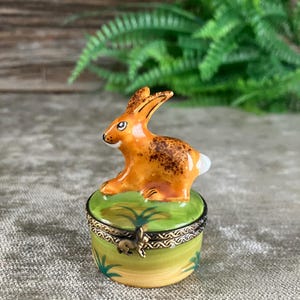 Op de afbeelding: Een klein rond porseleinen doosje met een handgeschilderd oranje en bruin konijnenfiguurtje op het deksel. De basis is beschilderd in groen- en geeltinten met grasmotieven en de scharnierende metalen sluiting heeft een klein konijnvormig slot.