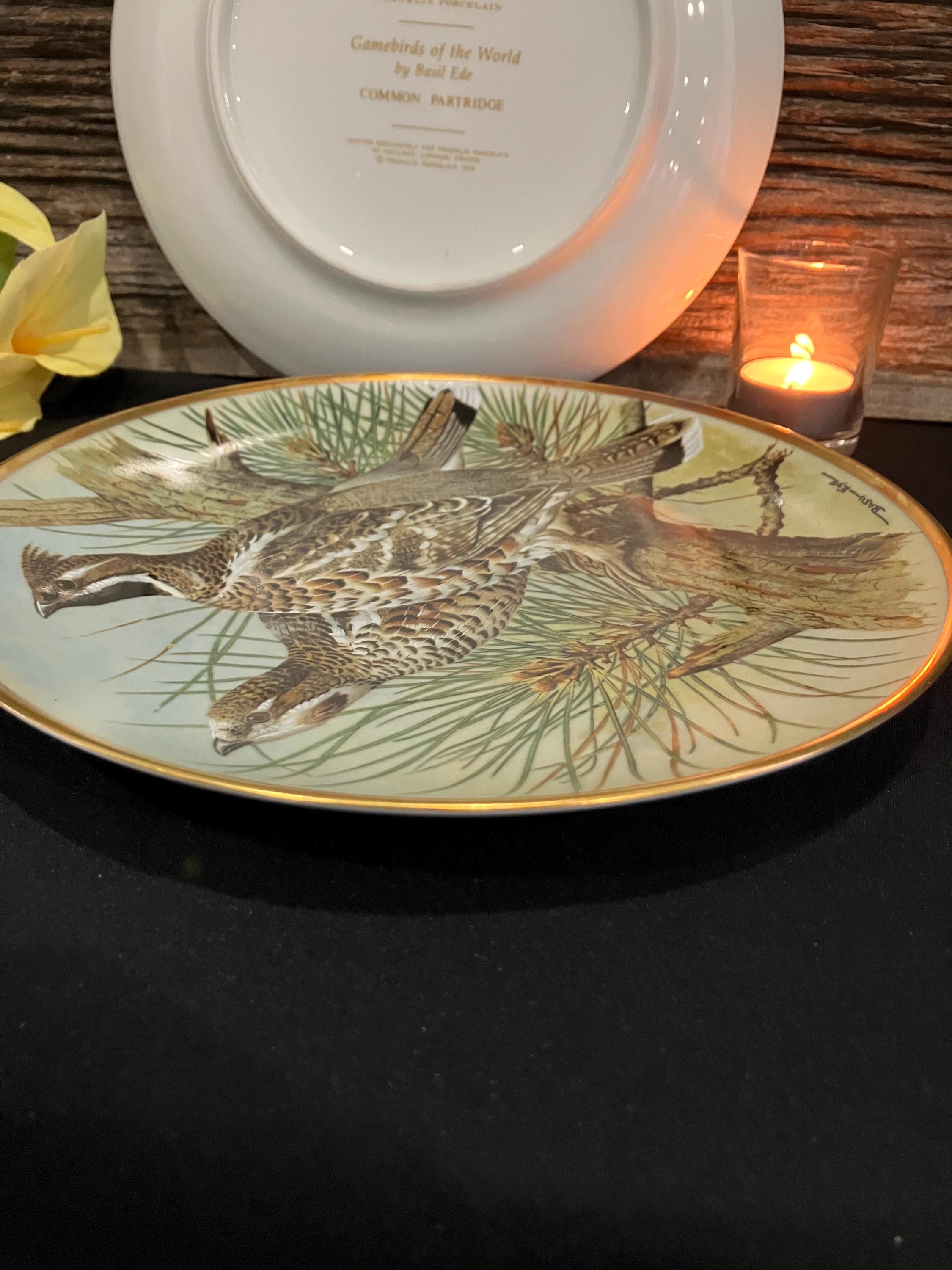 Franklin Porcelain Game Bird Plates: Basil Ede Collectable Set of